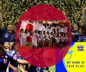 пазл ФИФА 2011 Fair Play премия за Японской футбольной ассоциации